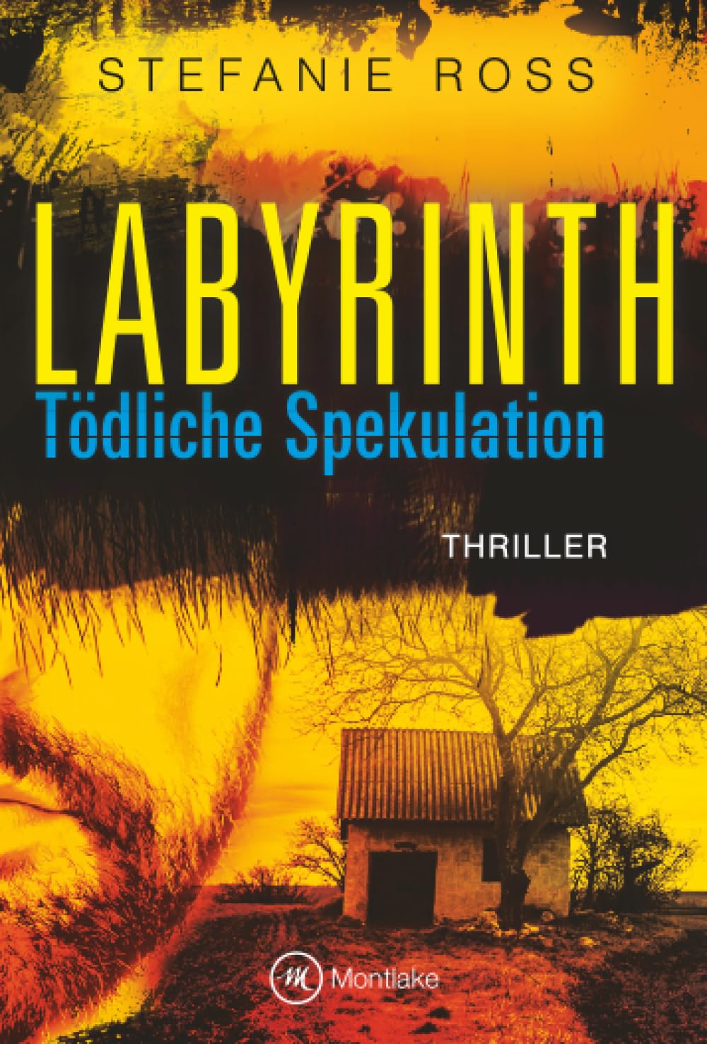 Labyrinth Contemporary literature Books