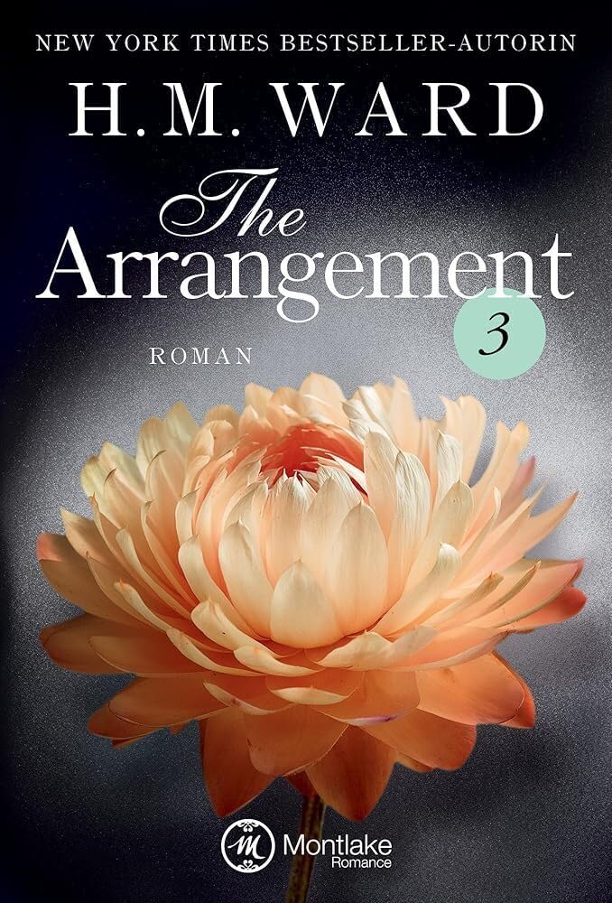 The Arrangement 3 (Die Familie Ferro, Band 3) Contemporary literature