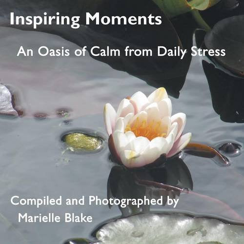 An Oasis of Calm from Daily Stress Business, Finance & Career