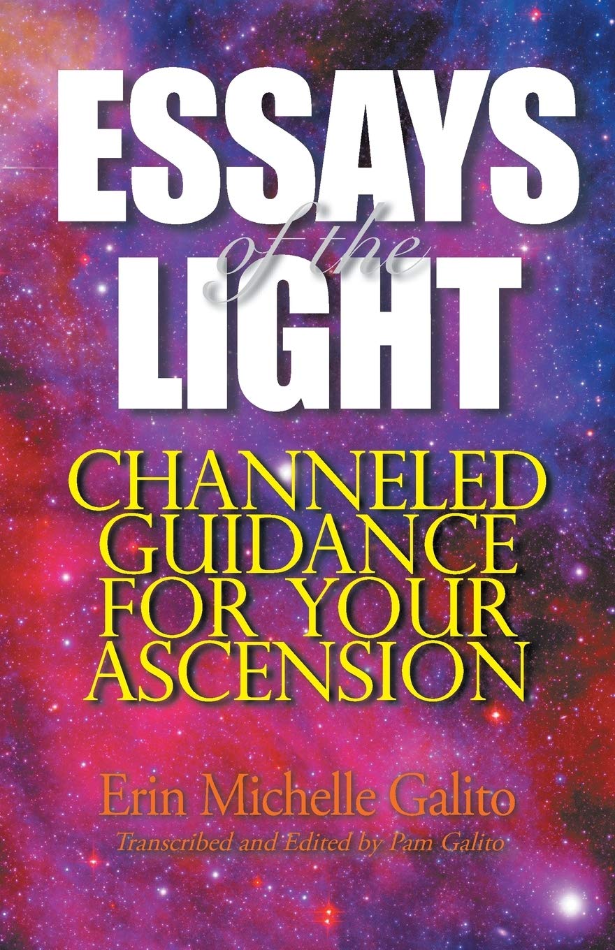 Essays of the Light book