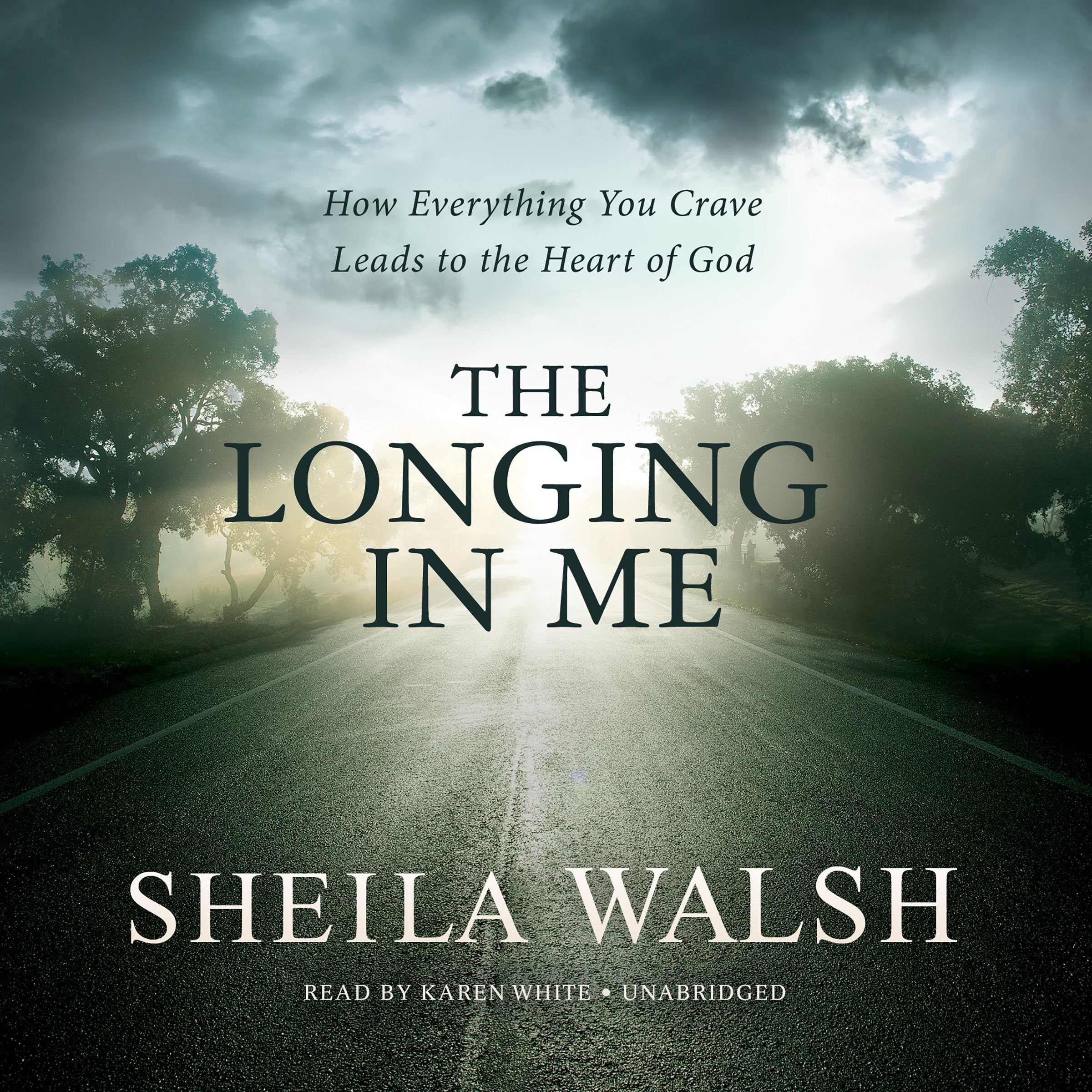 The Longing in Me: How Everything You Crave Leads to the Heart of God Social Sciences