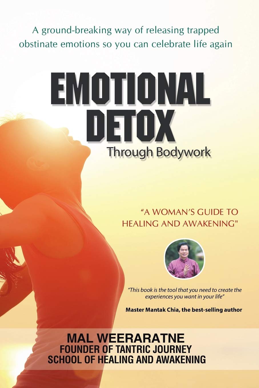 Emotional Detox Through Bodywork: A Woman's Guide to Healing and Awakening Partnership & Love