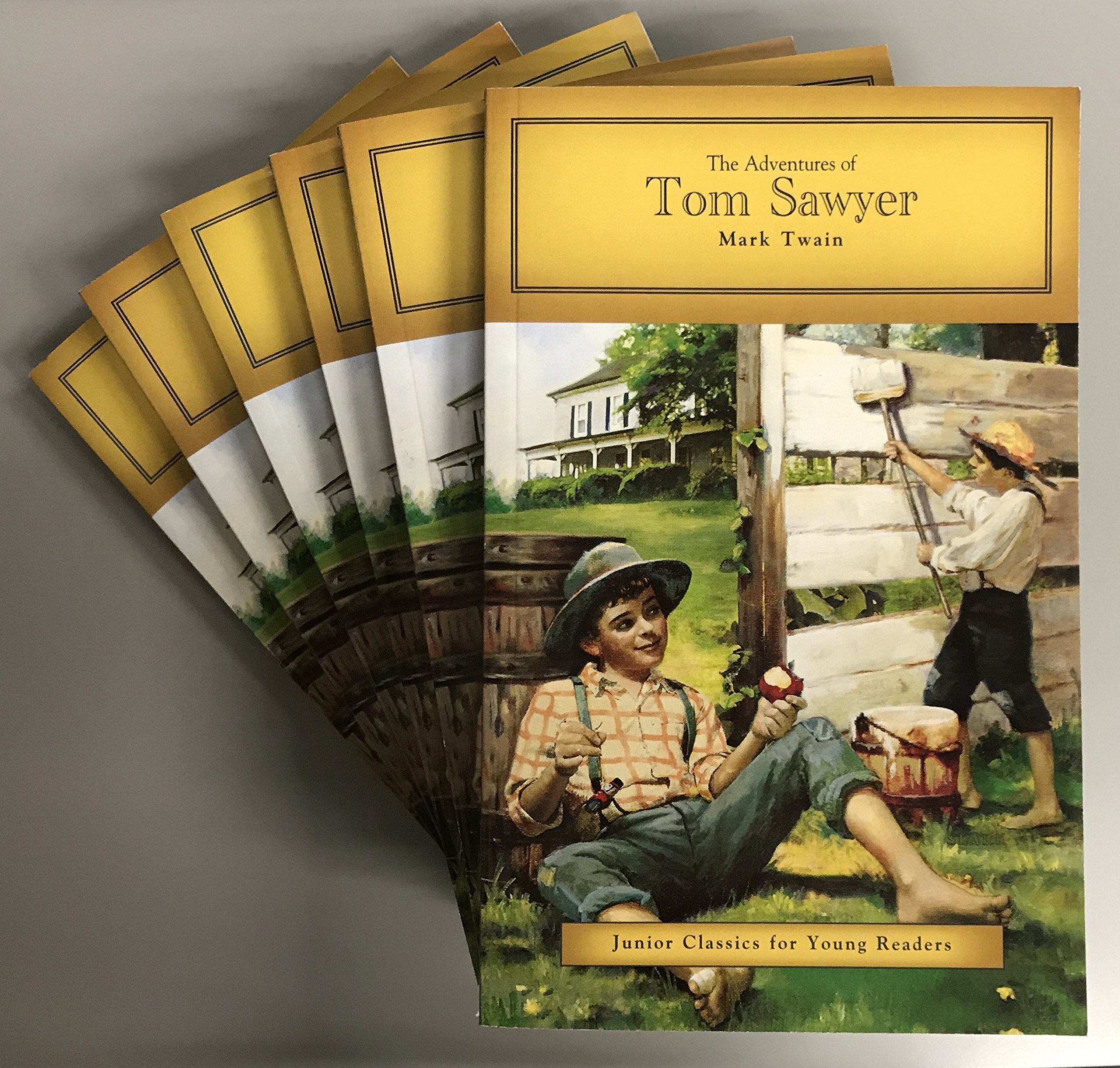 The Adventures of Tom Sawyer (6/Pack):Fully Illustrated and Adapted Books