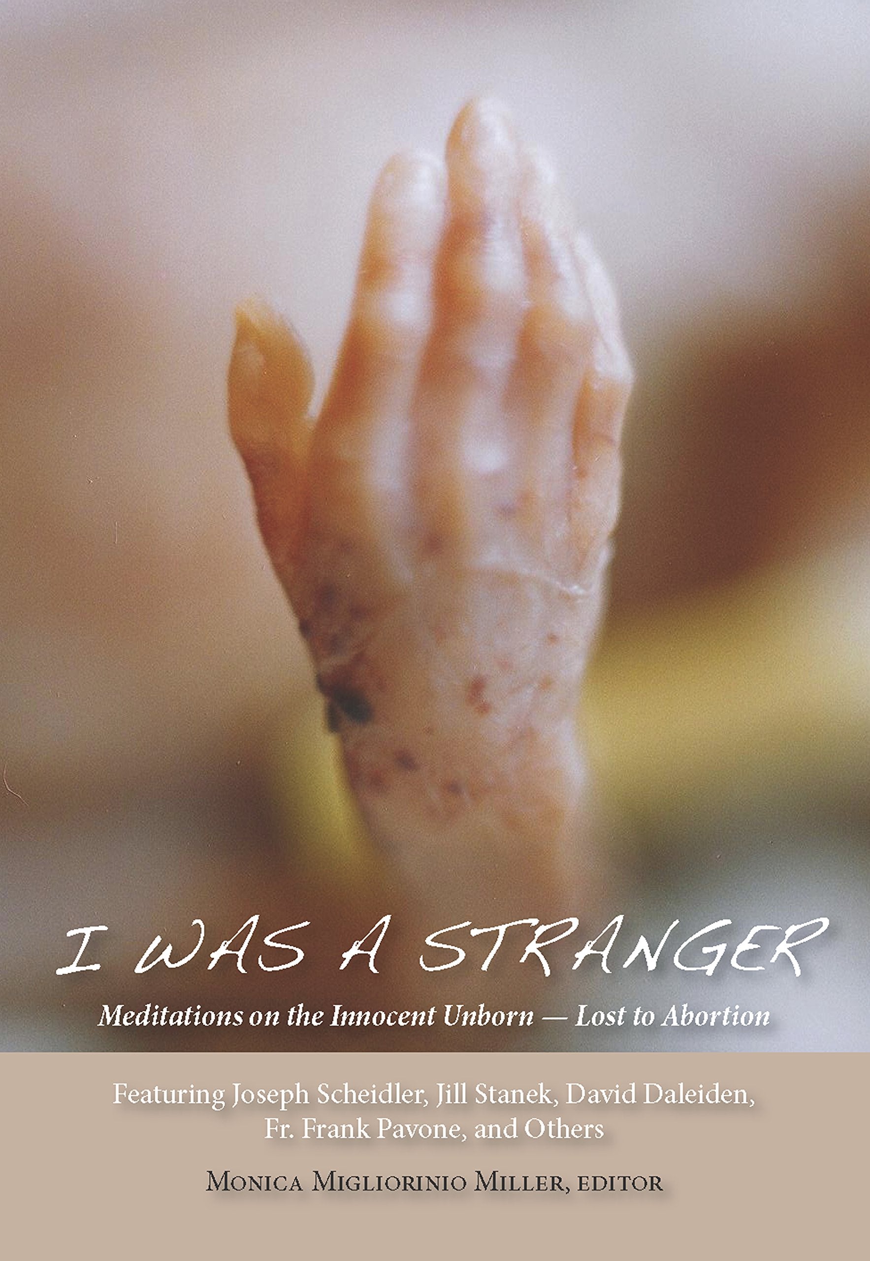 I Was a Stranger: Meditations on the Innocent Unborn-Lost to Abortion Social Sciences