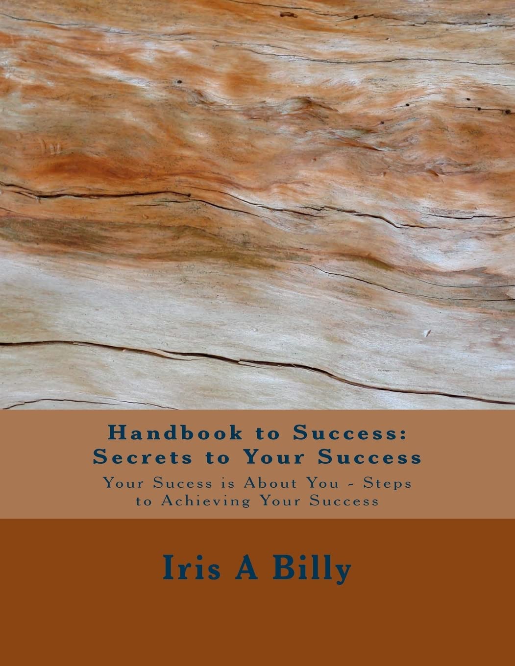 Handbook to Success: Secrets to Your Success: Your Success is About You - Steps to Achieving Your Success Self-help