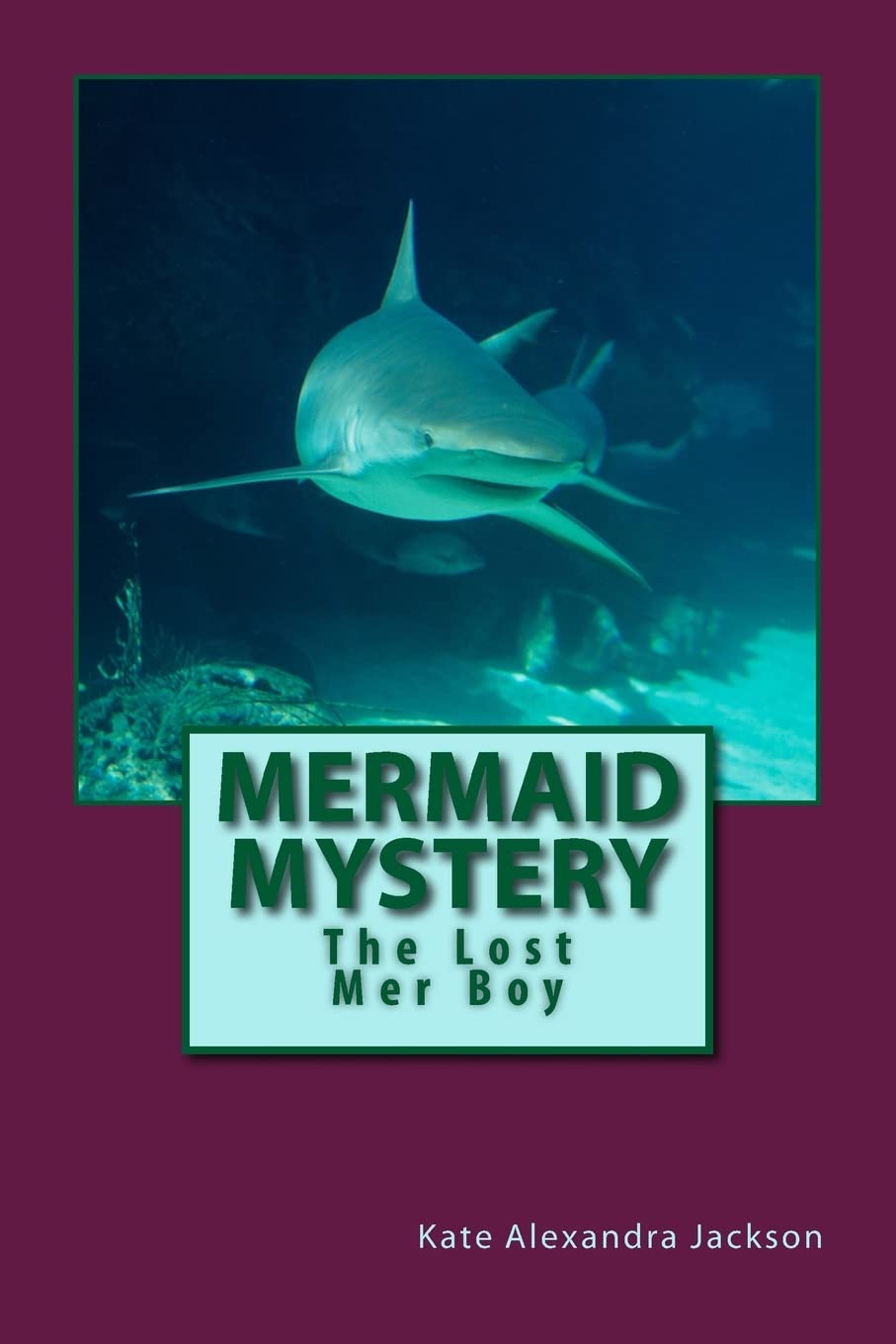 Mermaid Mystery: The Lost Mer Boy Contemporary literature