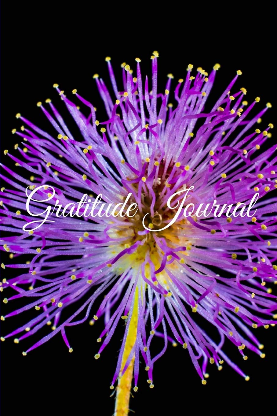 Gratitude Journal: The Lord Is My Shepherd Lifestyle