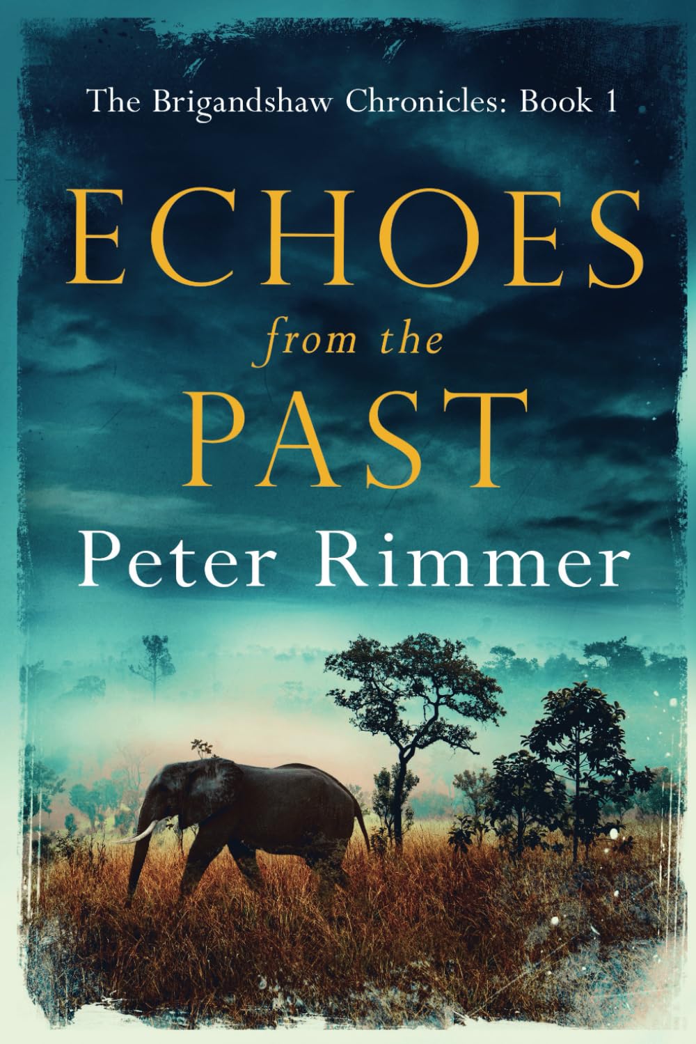 Echoes from the Past: A captivating historical come to life series (The Brigandshaw Chronicles, Band 1) Action & Adventure