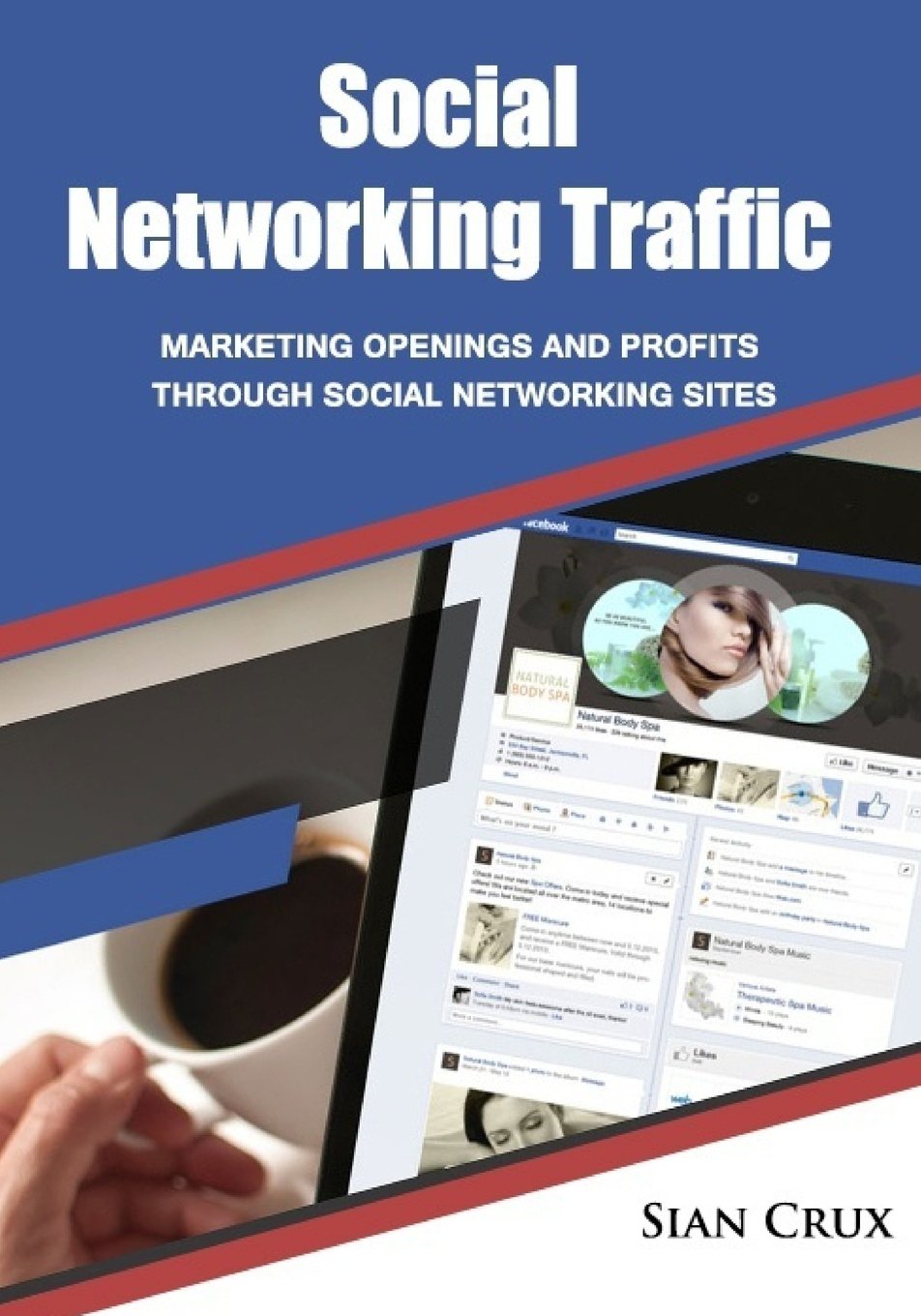 Social Networking Traffic: Marketing openings and profits through social networking sites book