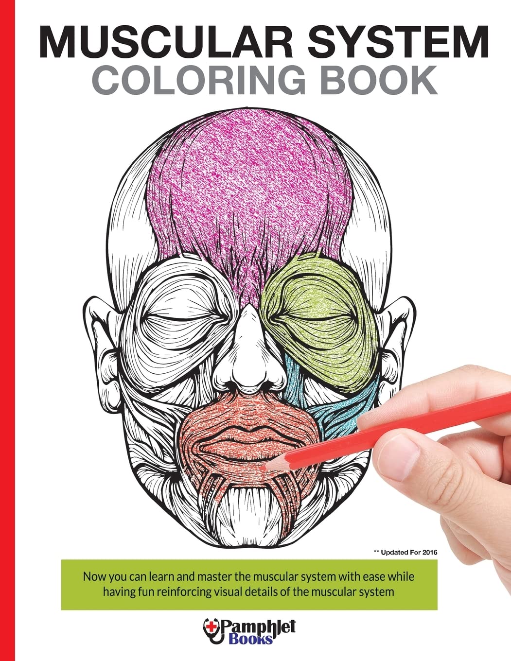 Muscular System Coloring Book: Now you can learn and master the muscular system with ease while having fun book