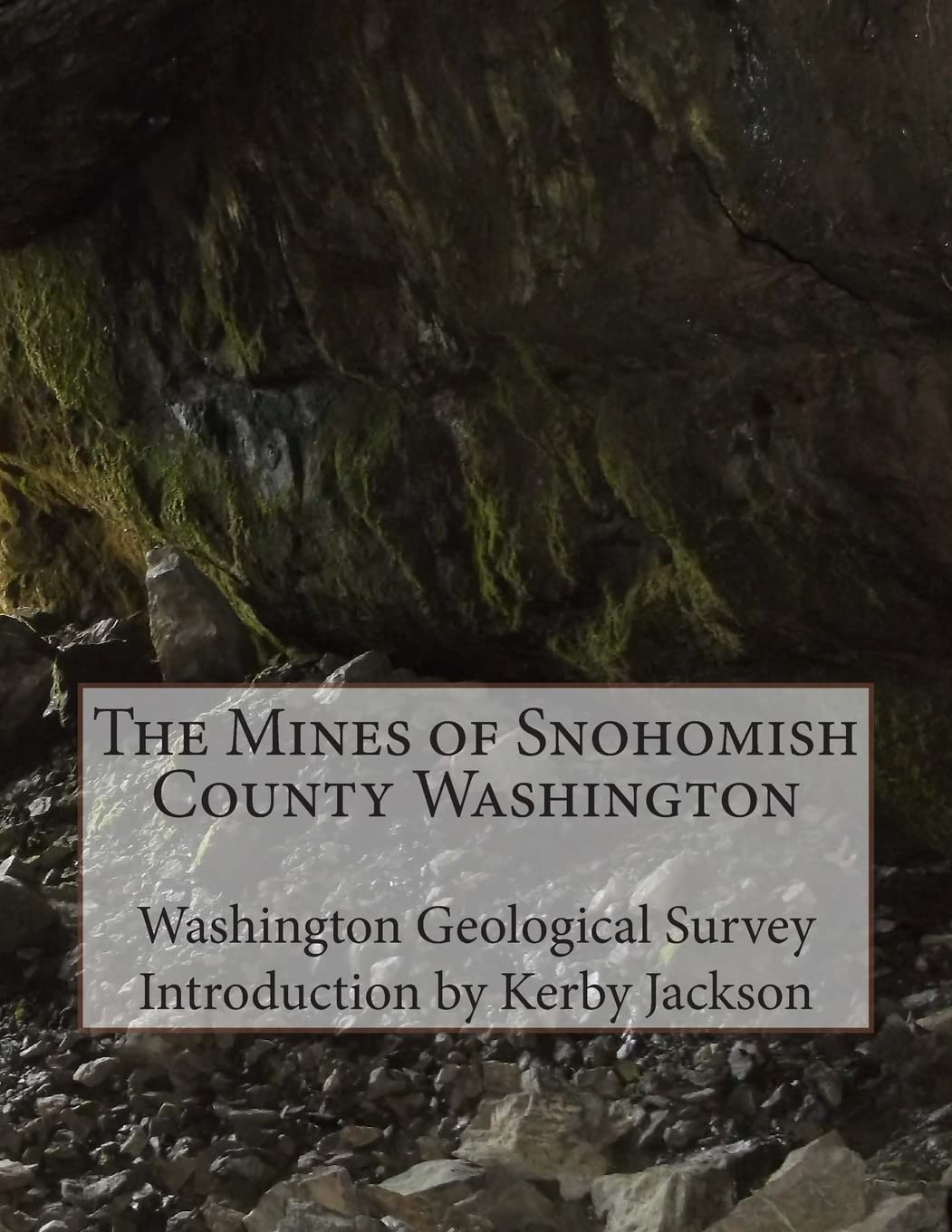 The Mines of Snohomish County Washington Politics & History