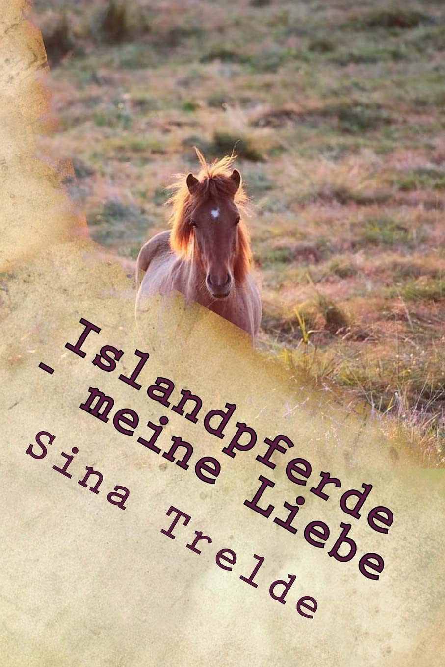 Islandpferde - meine Liebe (Große Pferde - Starke Mädchen) Non-fiction