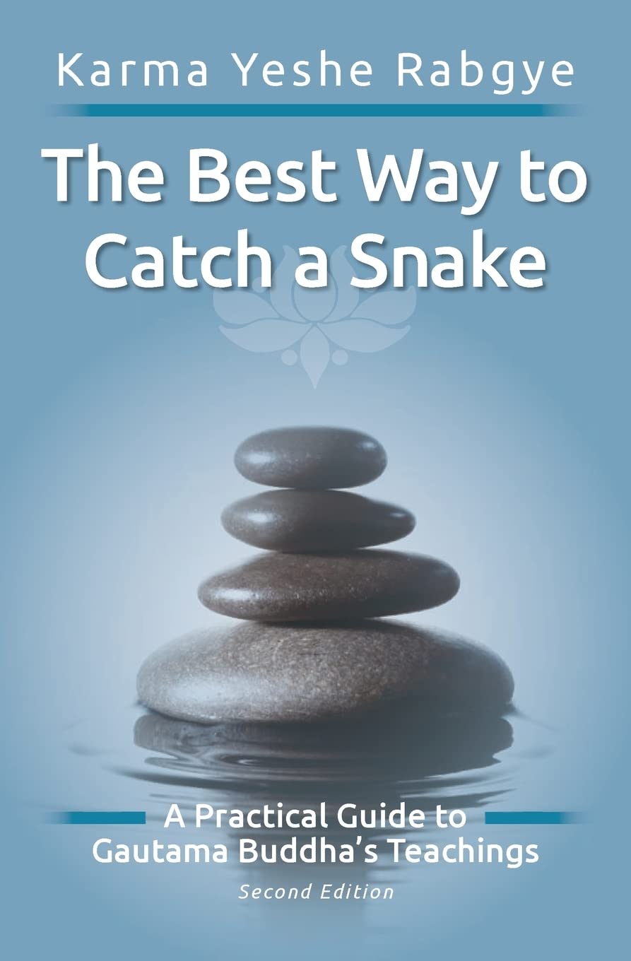 The Best Way to Catch a Snake: A Practical Guide To Gautama Buddha's Teachings book