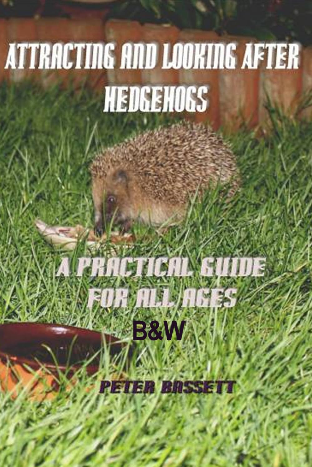 Attracting & Looking After Hedgehogs b&w: A Guide for All Ages Mathematics