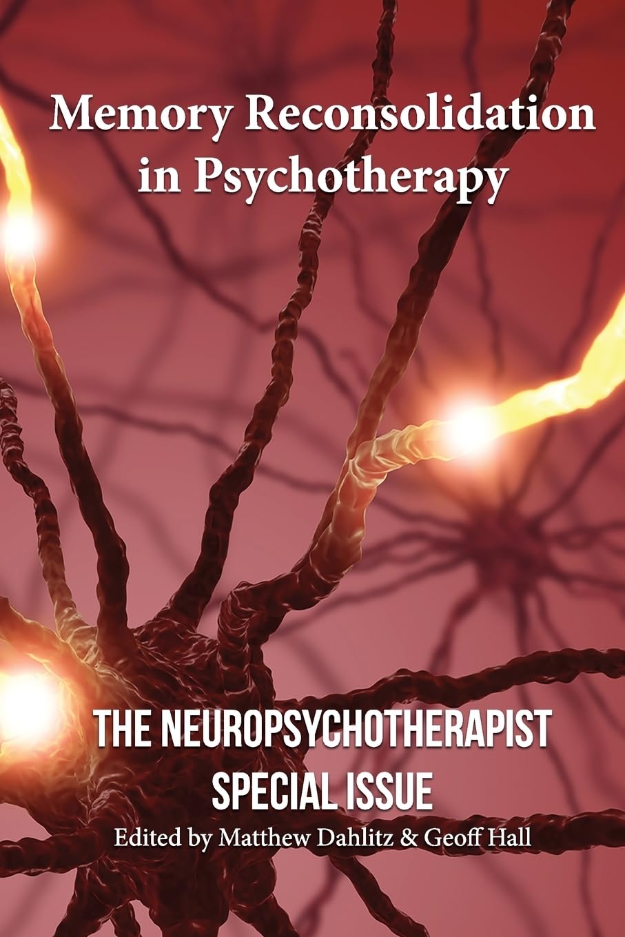 Memory Reconsolidation in Psychotherapy: The Neuropsychotherapist Special Issue (The Neuropsychotherapist Special Issues, Band 1) Psychology