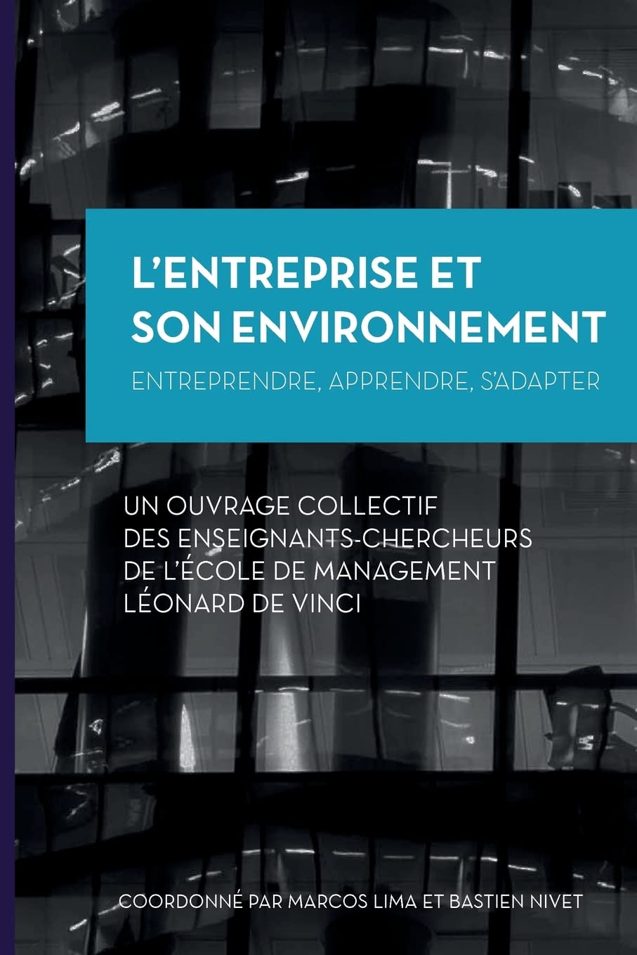 L'Entreprise et son Environnement: Entreprendre, apprendre, s'adapter book