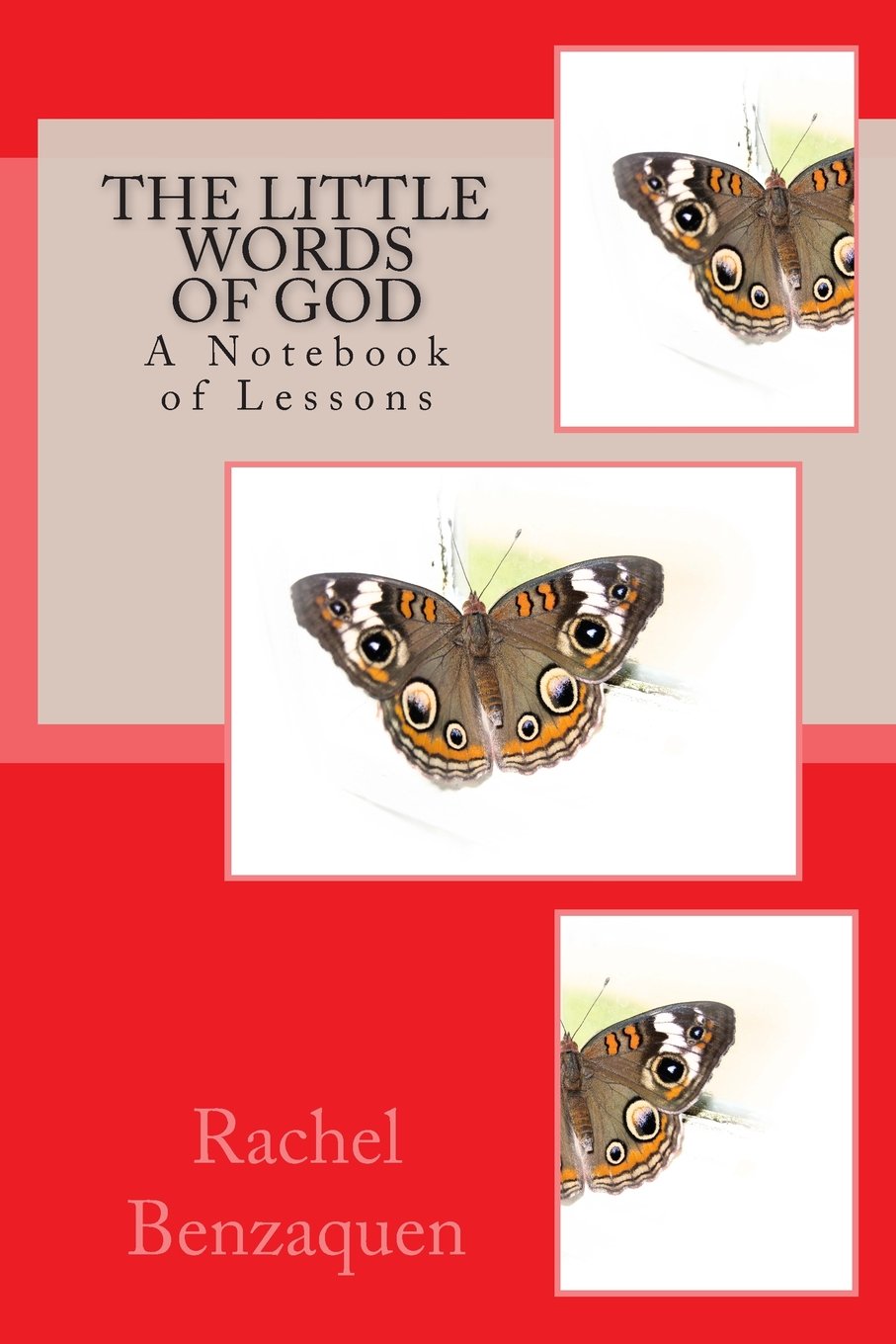 The Little Words of God: A Notebook of Lessons (Journals of Grace (Grace Notes), Band 1) Mathematics