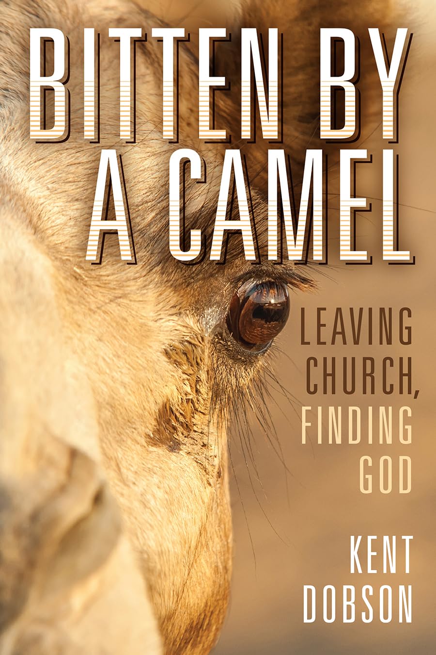 Bitten by a Camel book