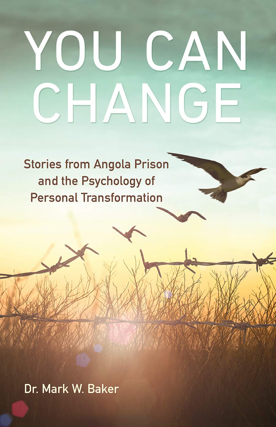 You Can Change: Stories from Angola Prison and the Psychology of Personal Transformation Law