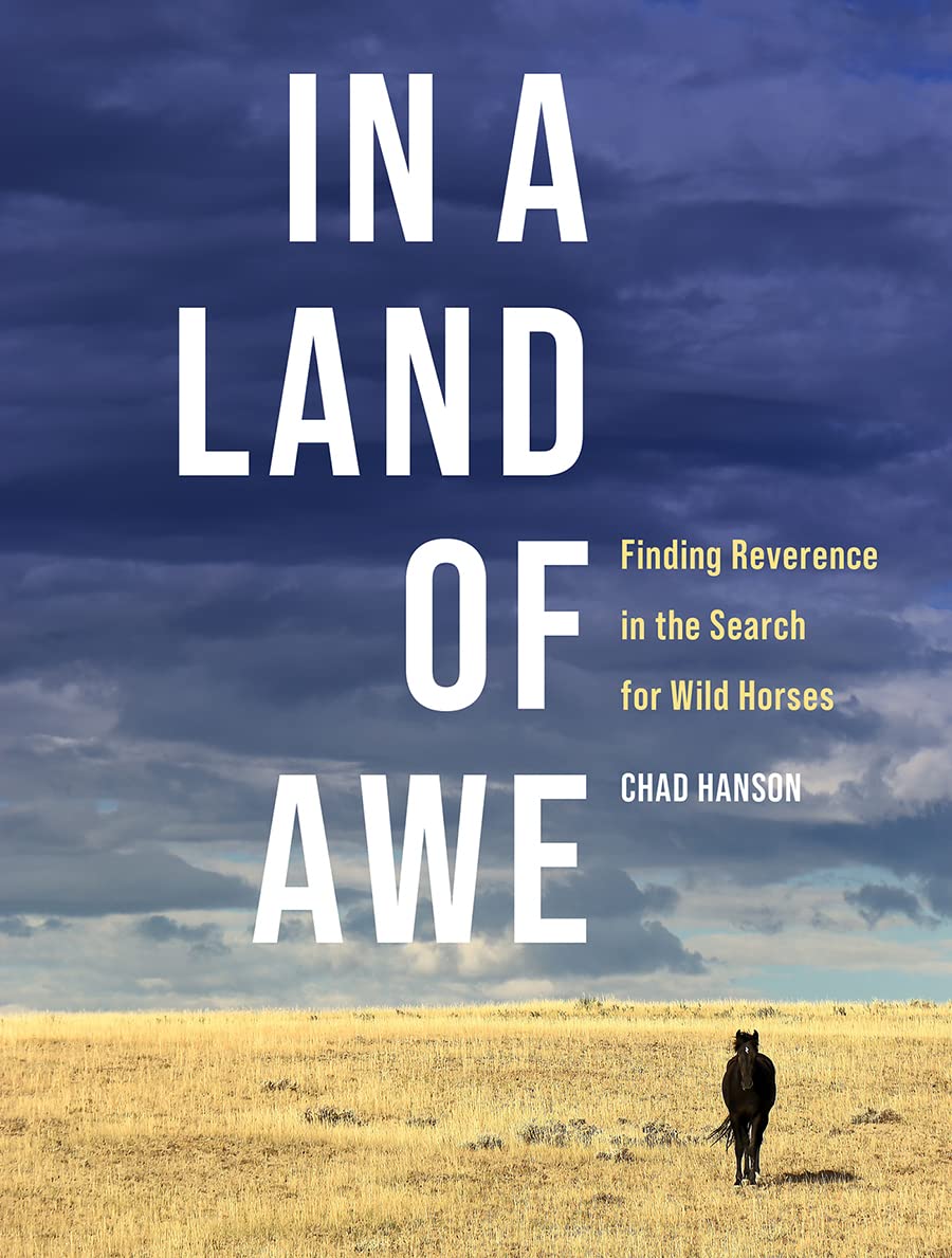 In a Land of Awe: Finding Reverence in the Search for Wild Horses Mathematics