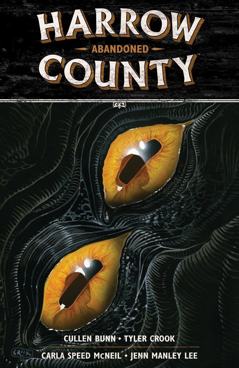Bunn, C: HARROW COUNTY V05 ABANDONED book
