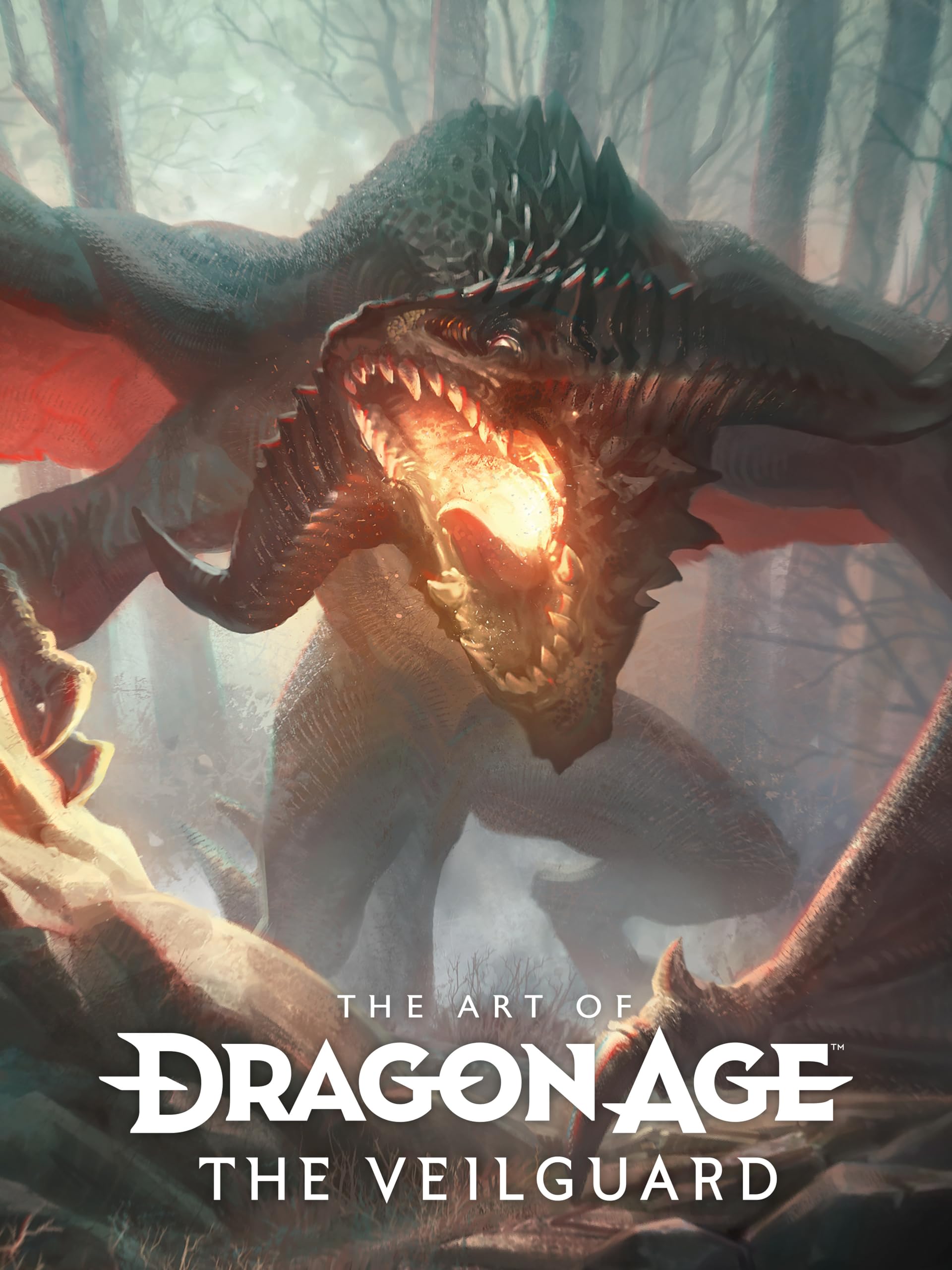 The Art of Dragon Age: The Veilguard Computer Science
