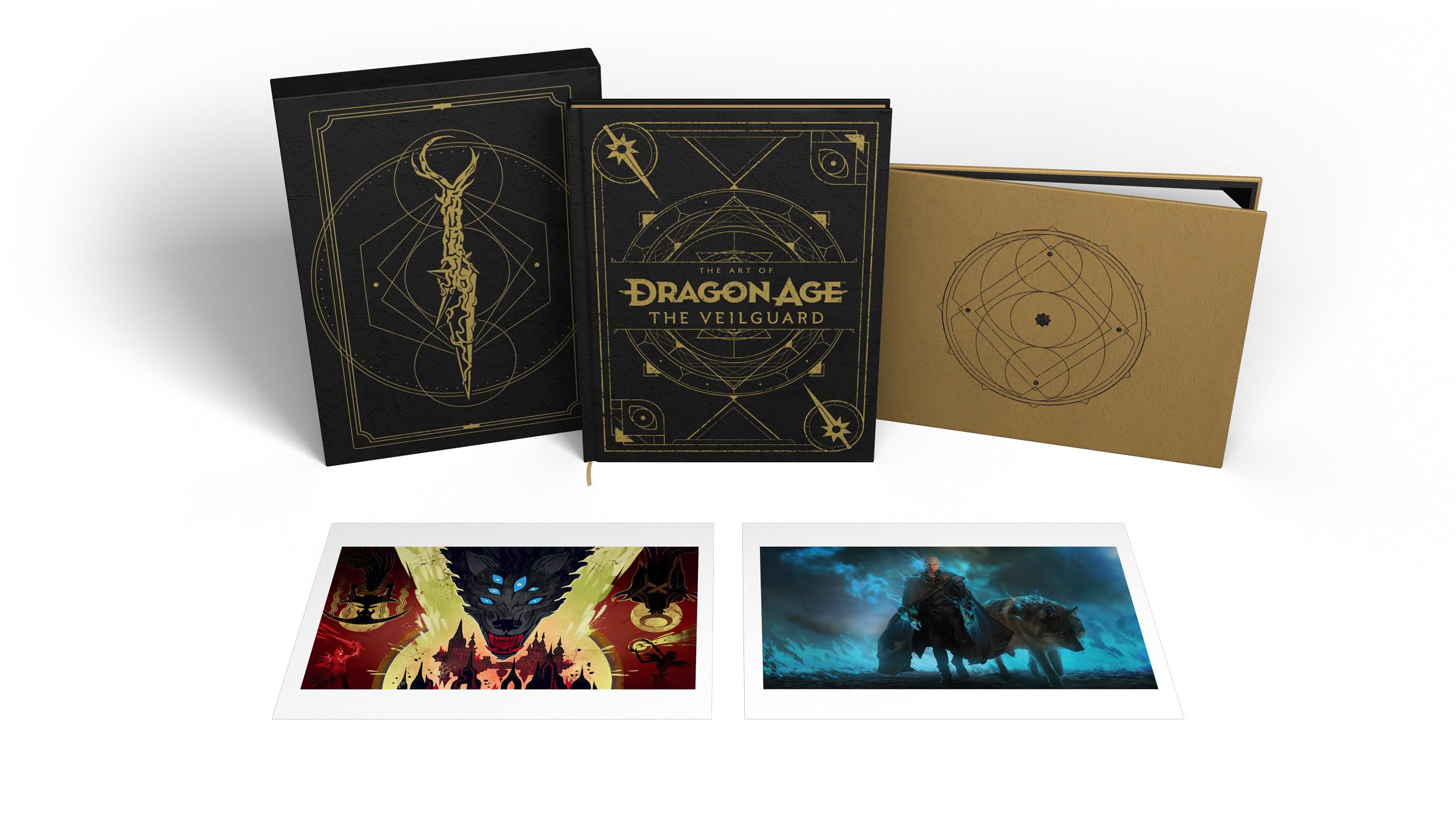 The Art of Dragon Age: The Veilguard (Deluxe Edition) Computer Science