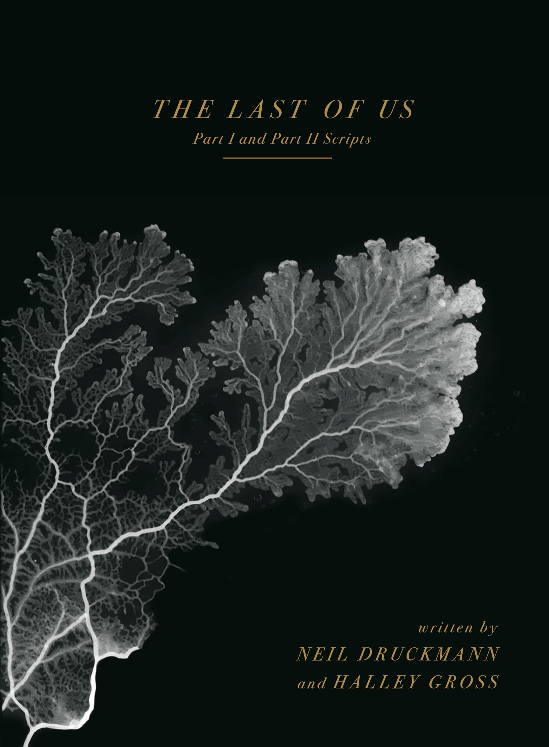 The Last of Us: Part I and Part II Scripts Computer Science
