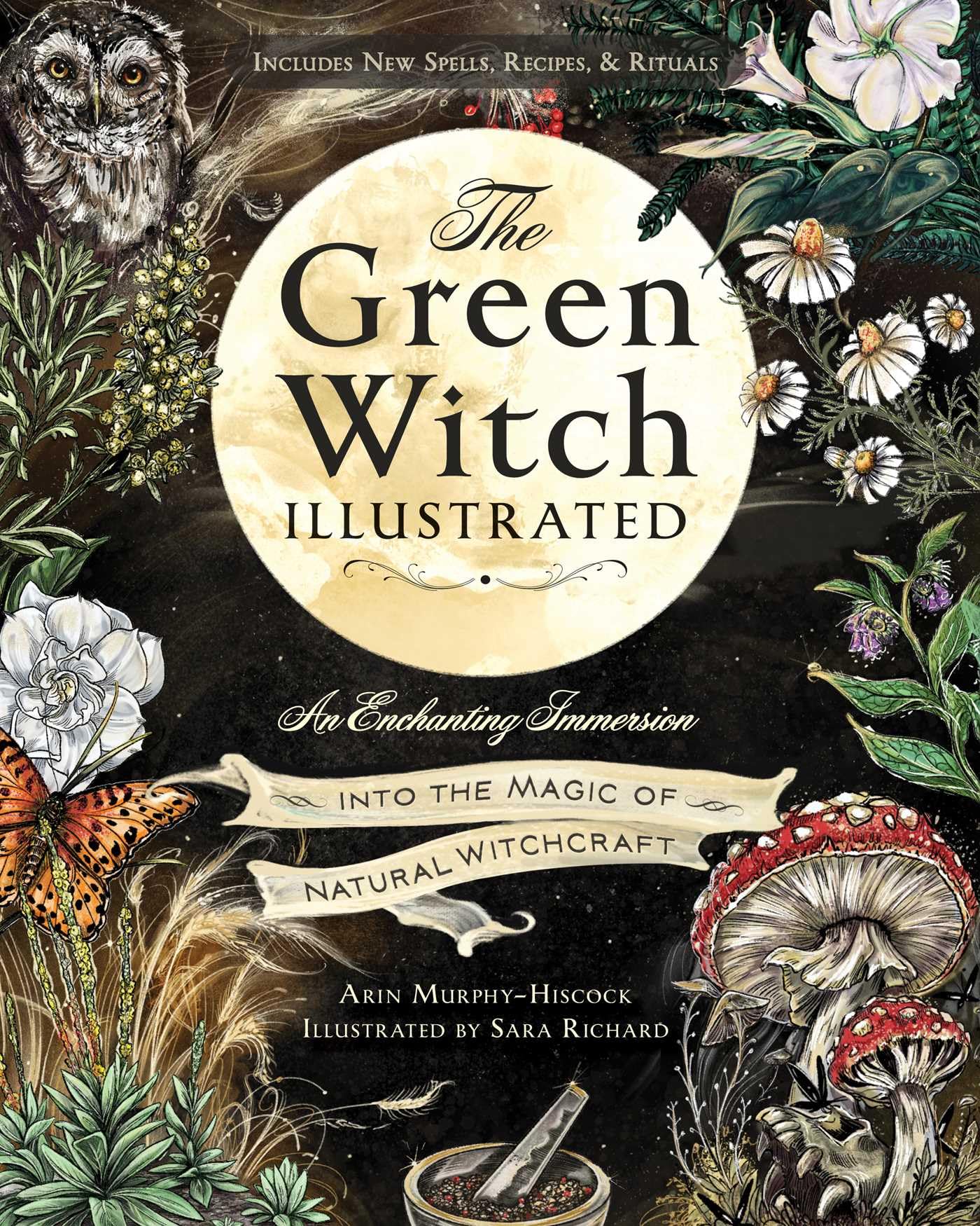 Product Image: The Green Witch Illustrated