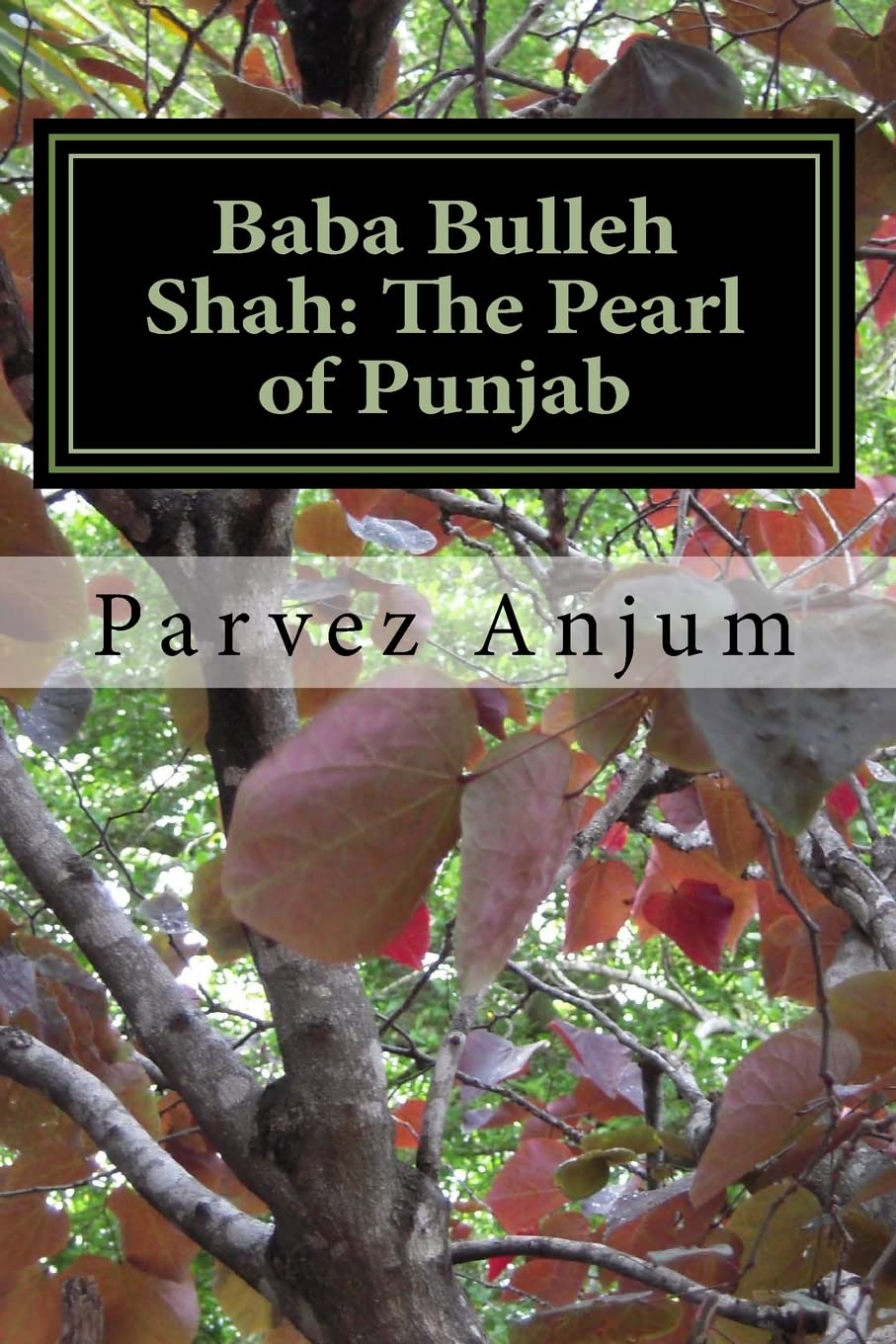 Baba Bulleh Shah: The Pearl of Punjab: Selective kafis of the sufi translated into English (Muslim Thought, Band 2) Poetry