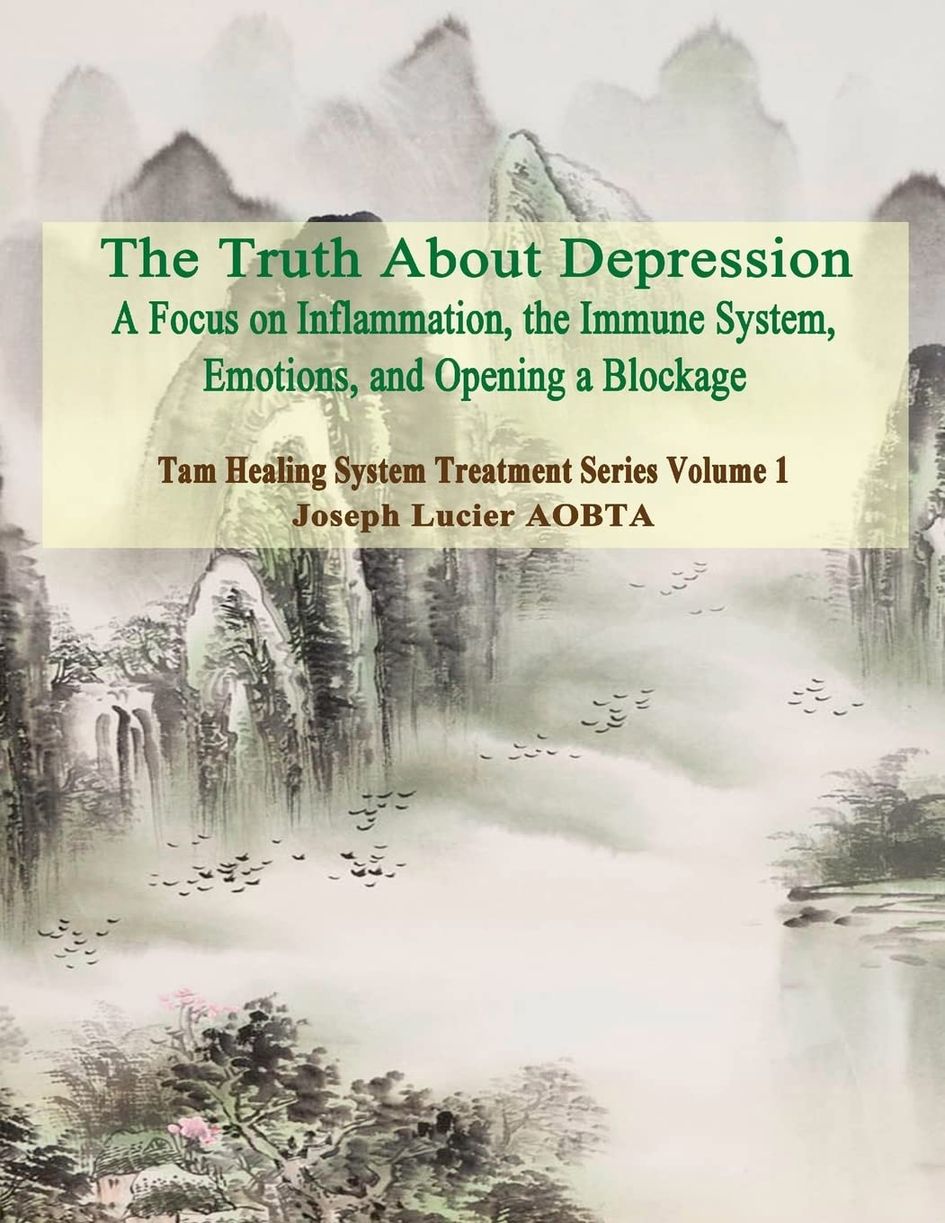 The Truth About Depression: Return to Balance - Focus on Inflammation, the Immune System and Opening a Blockage (Tam Healing System Treatment Strategies, Band 1) Health, Nutrition & Fitness