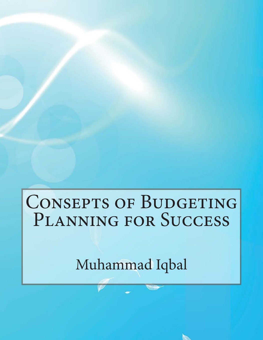 Consepts of Budgeting Planning for Success Business, Finance & Career