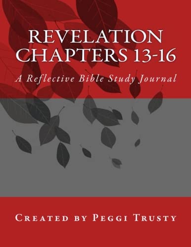Revelation, Chapters 13-16: A Reflective Bible Study Journal Religion & Esotericism