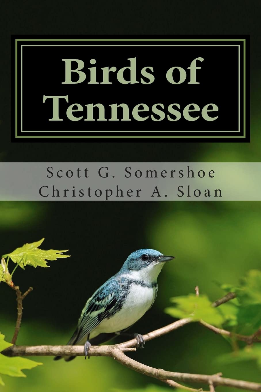 Birds of Tennessee: A New Annotated Checklist Mathematics