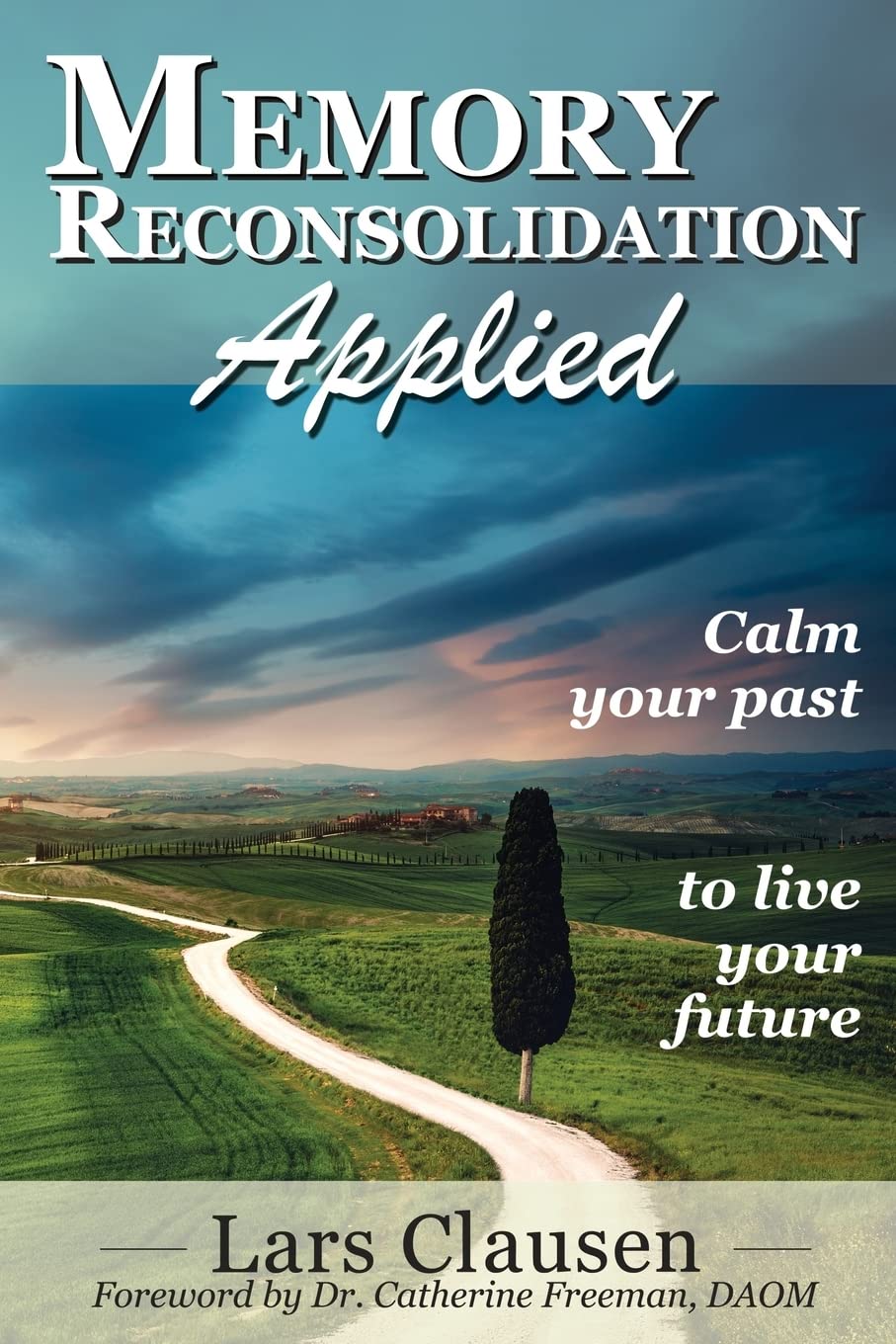 Memory Reconsolidation Applied: Calm Your Past to Live Your Future Business & Technology