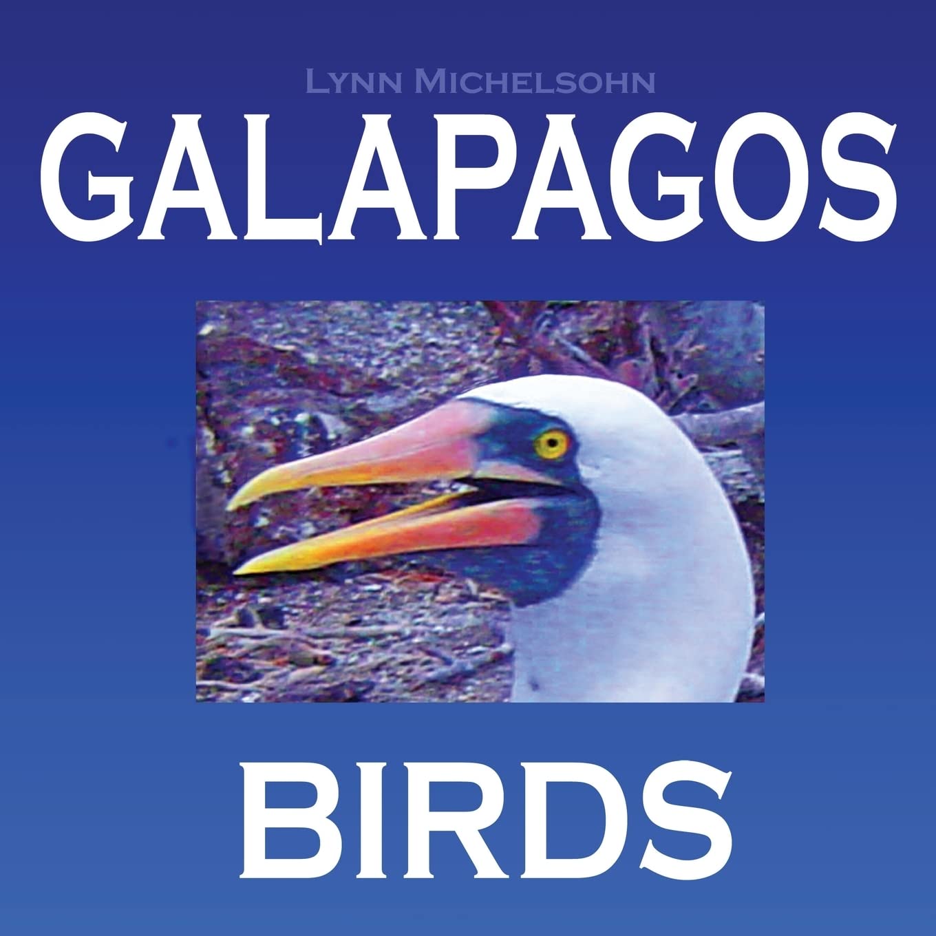 Galapagos Birds: Wildlife Photographs from Ecuador's Galapagos Archipelago, the Encantadas or Enchanted Isles, and the Words of Herman Melville, ... FitzRoy (Galapagos Islands Nature Series) Travel Books