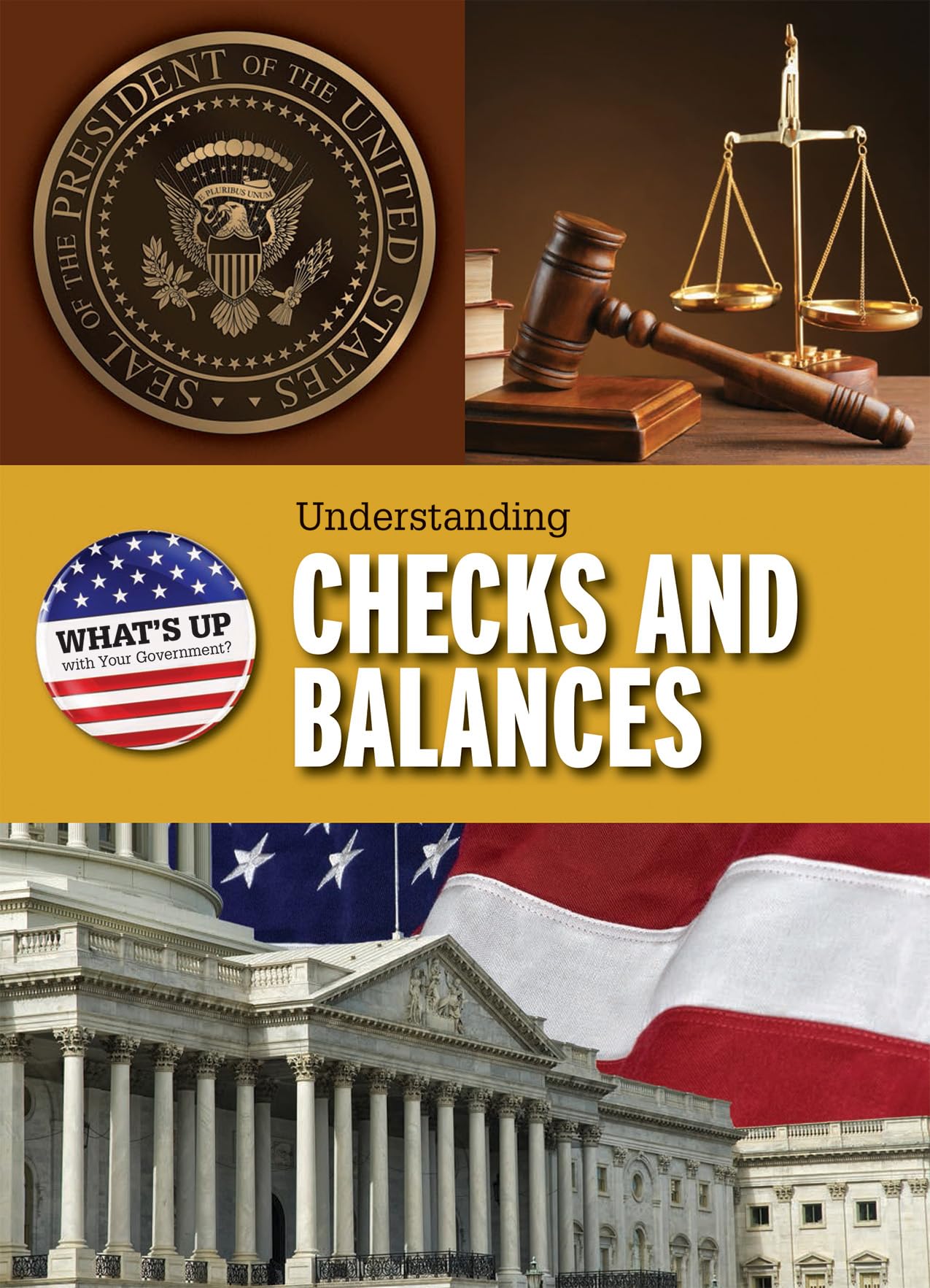 Understanding Checks and Balances (What's Up With Your Government?) Non-fiction