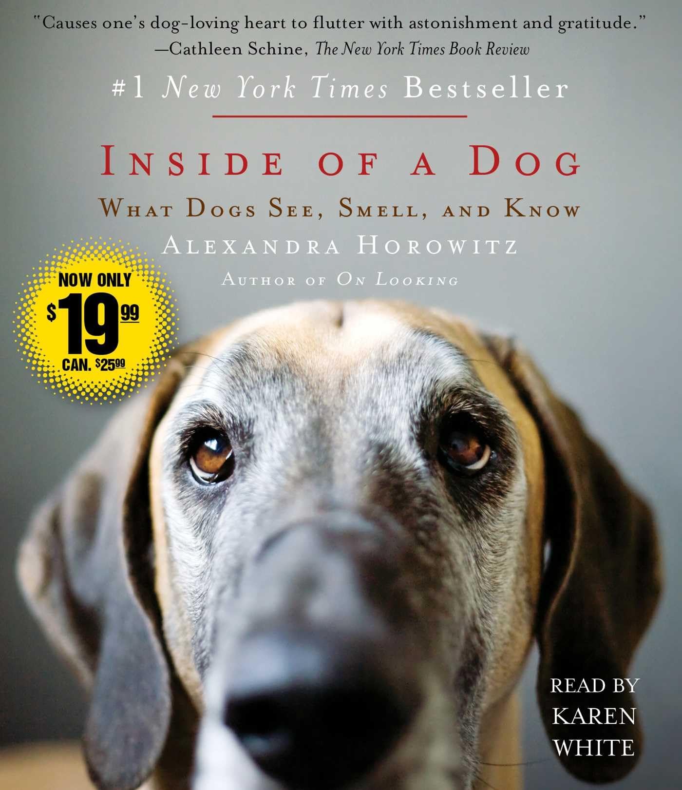 Inside of a Dog: What Dogs See, Smell, and Know Music