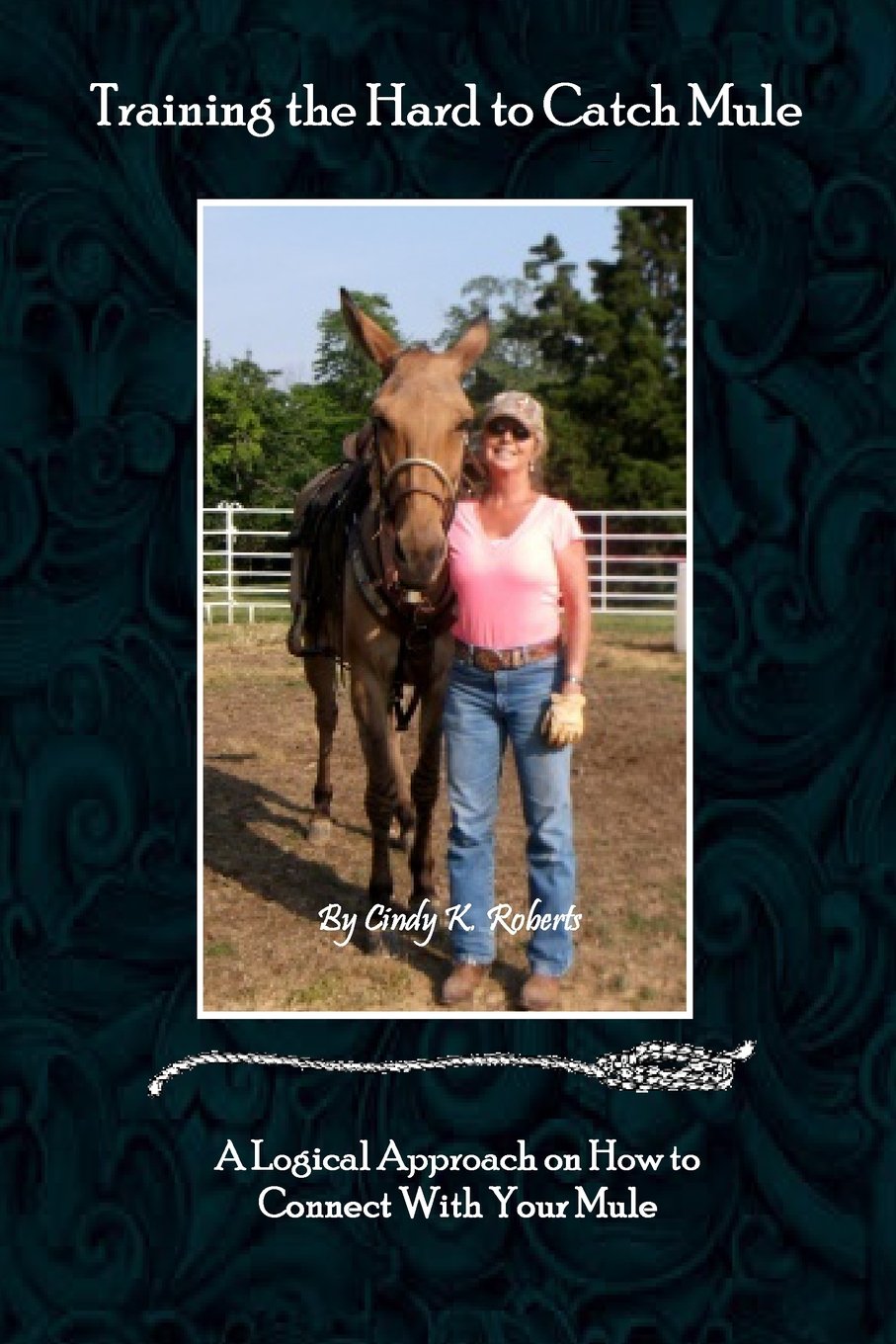 Training the Hard-To-Catch Mule: A Logical Approach On How To Connect With Your Mule Pets