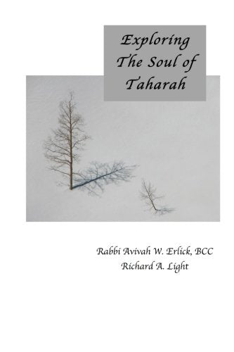 Exploring the Soul of Taharah (Jewish Death Practices Books) Religion & Esotericism