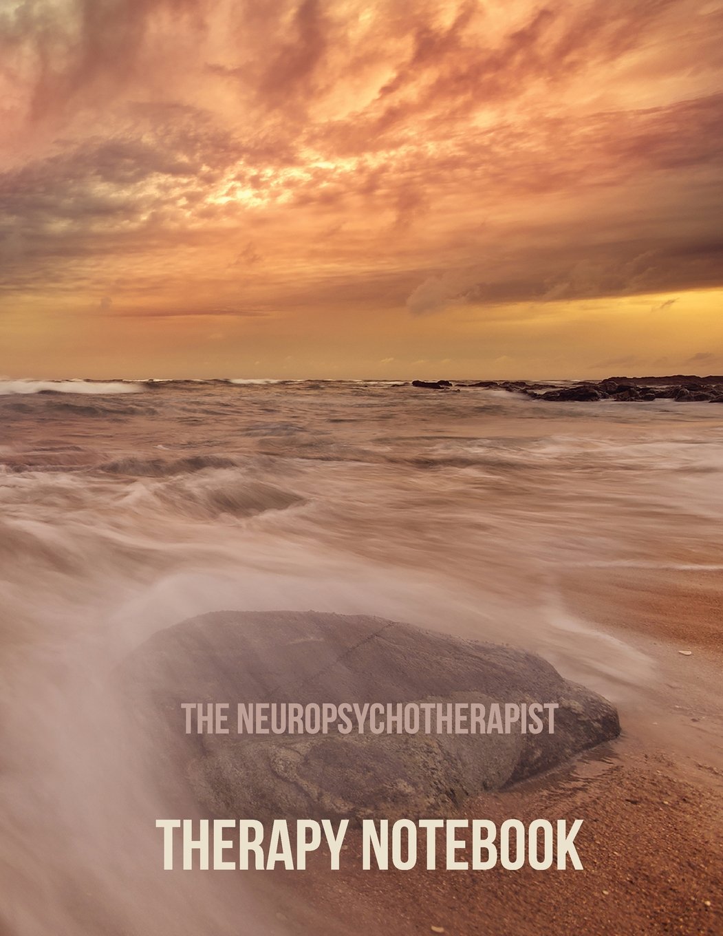 The Neuropsychotherapist Therapy Notebook: Client Clinical Record (Clinical Notes, Band 1) Psychology