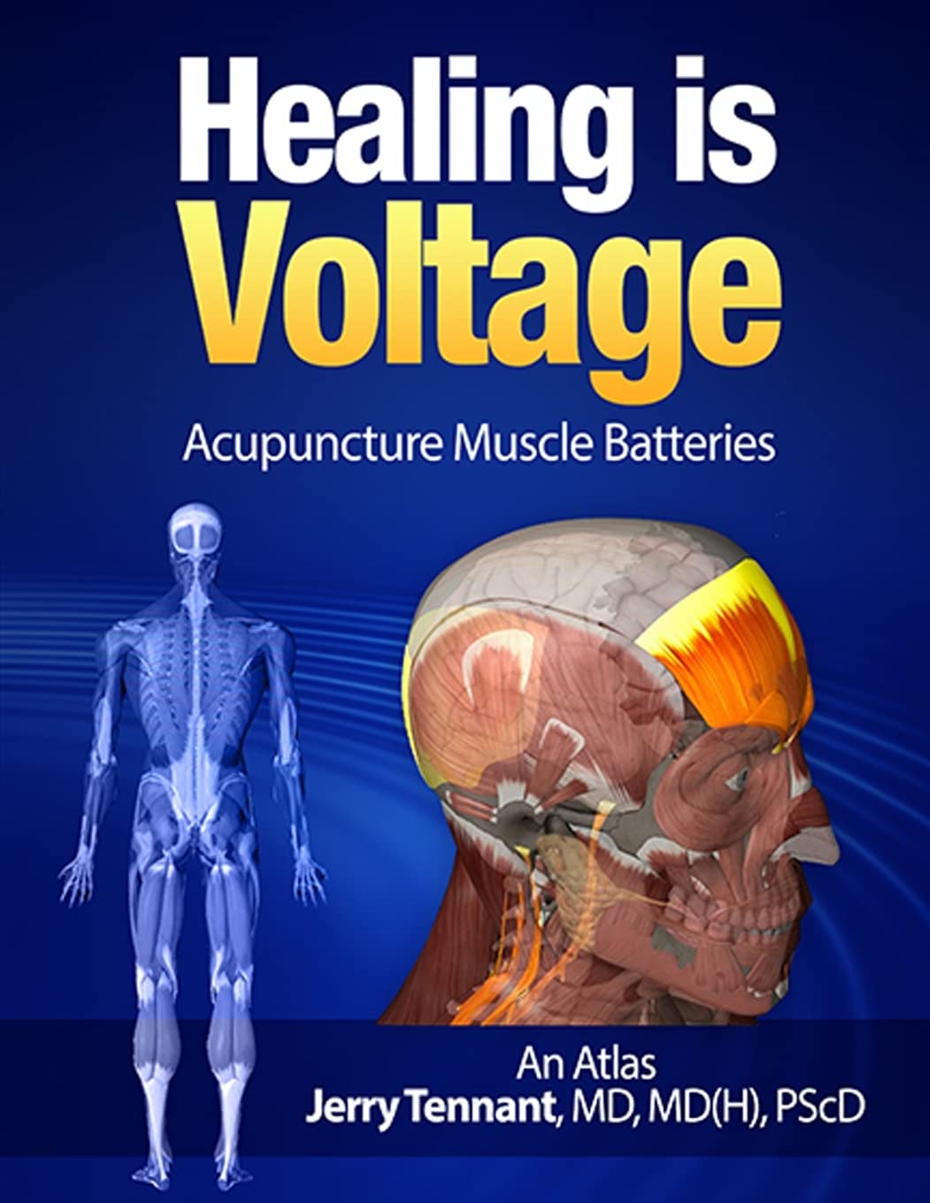 Healing is Voltage: Acupuncture Muscle Batteries book