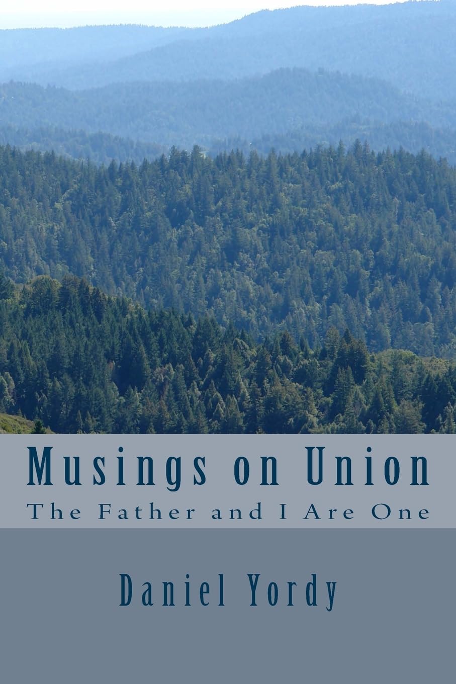 Product Image: Musings on Union