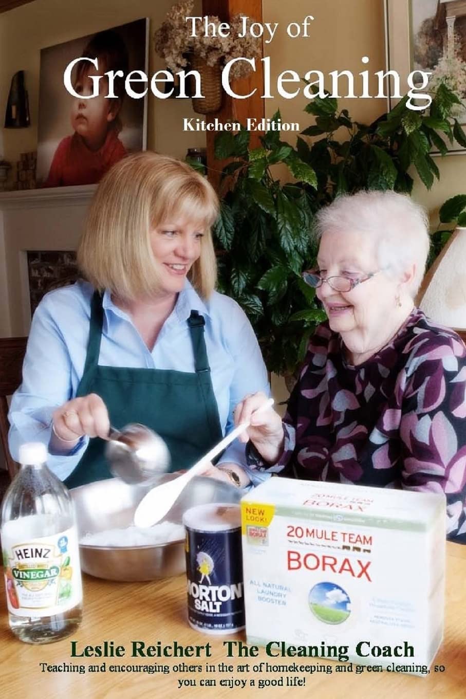 The Joy of Green Cleaning - Kitchen Edition Hobbies & Crafts