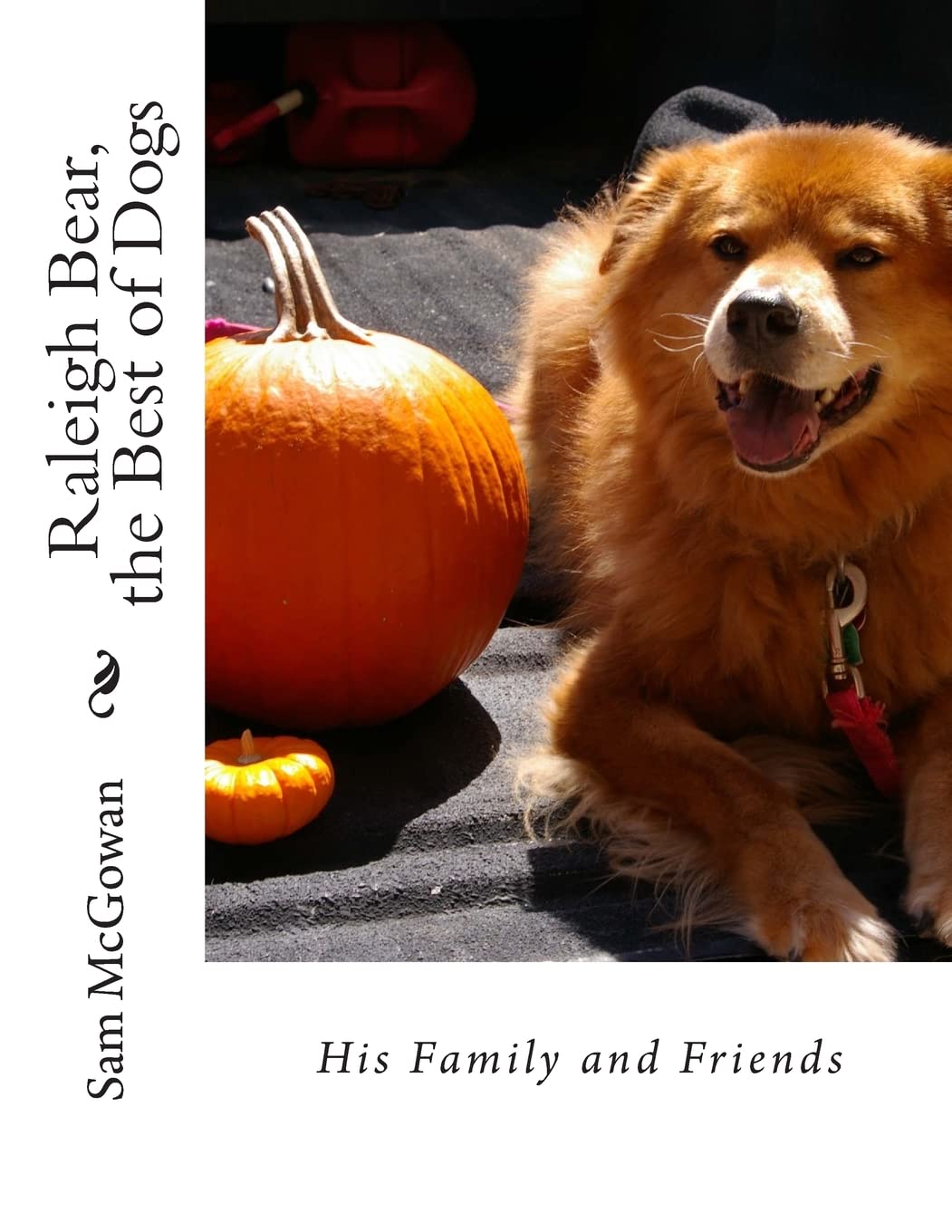 Raleigh Bear, the Best of Dogs: His Family and Friends Pets