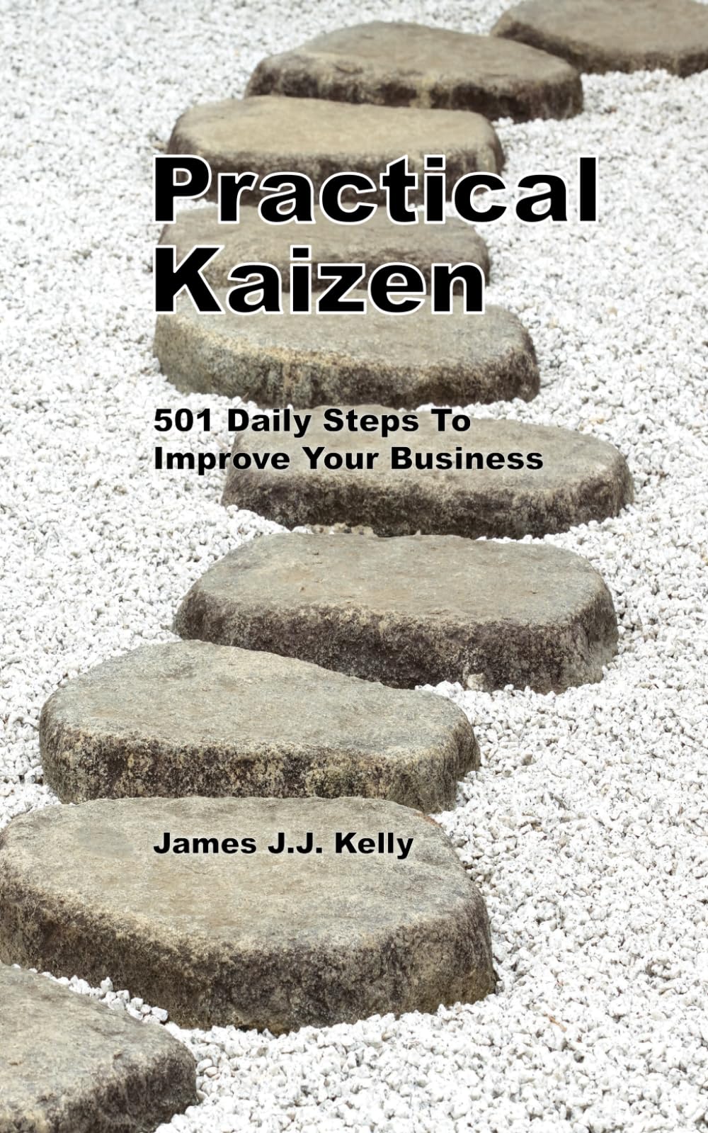 Practical Kaizen: 501 Daily Steps To Improve Your Business book