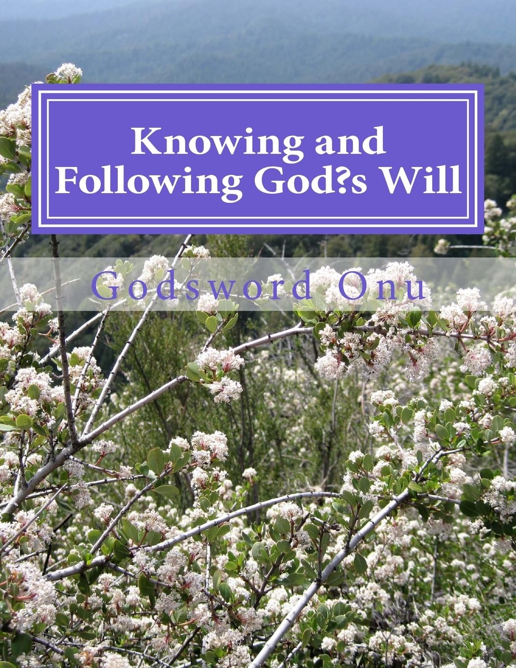 Knowing and Following God's Will: Obeying the Leading of God Religion & Esotericism