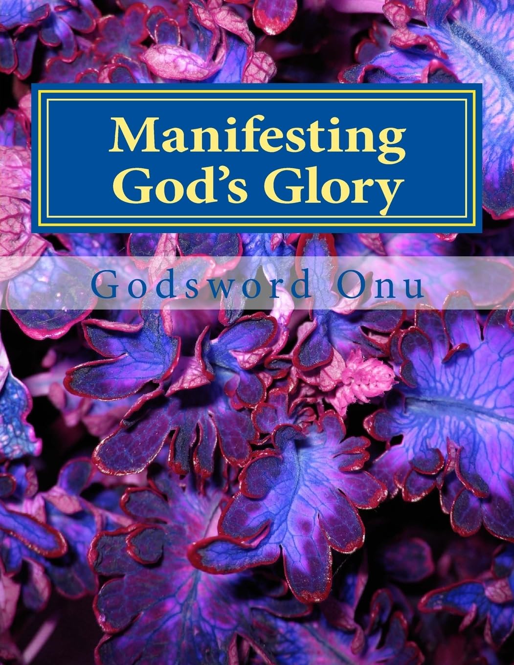 Manifesting God's Glory: Showing Forth the Glory of God Religion & Esotericism