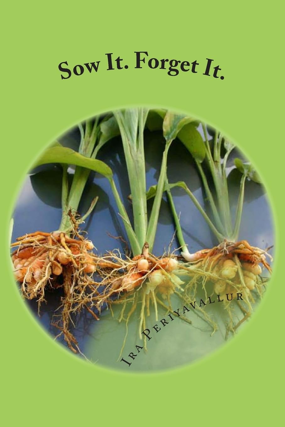 Sow It. Forget It.: A Layman?s Guide to Planting: Curcuma longa (Volume 1) Garden & Plants