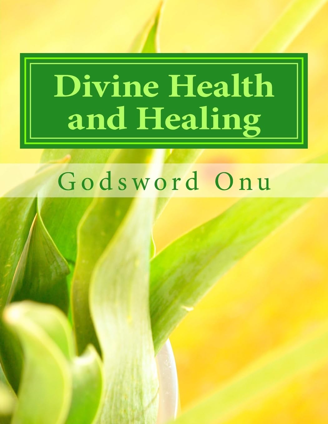 Divine Health and Healing: Freedom from Sicknesses and Diseases Religion & Esotericism
